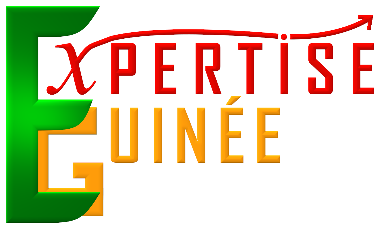 EXPERTISE GUINEE